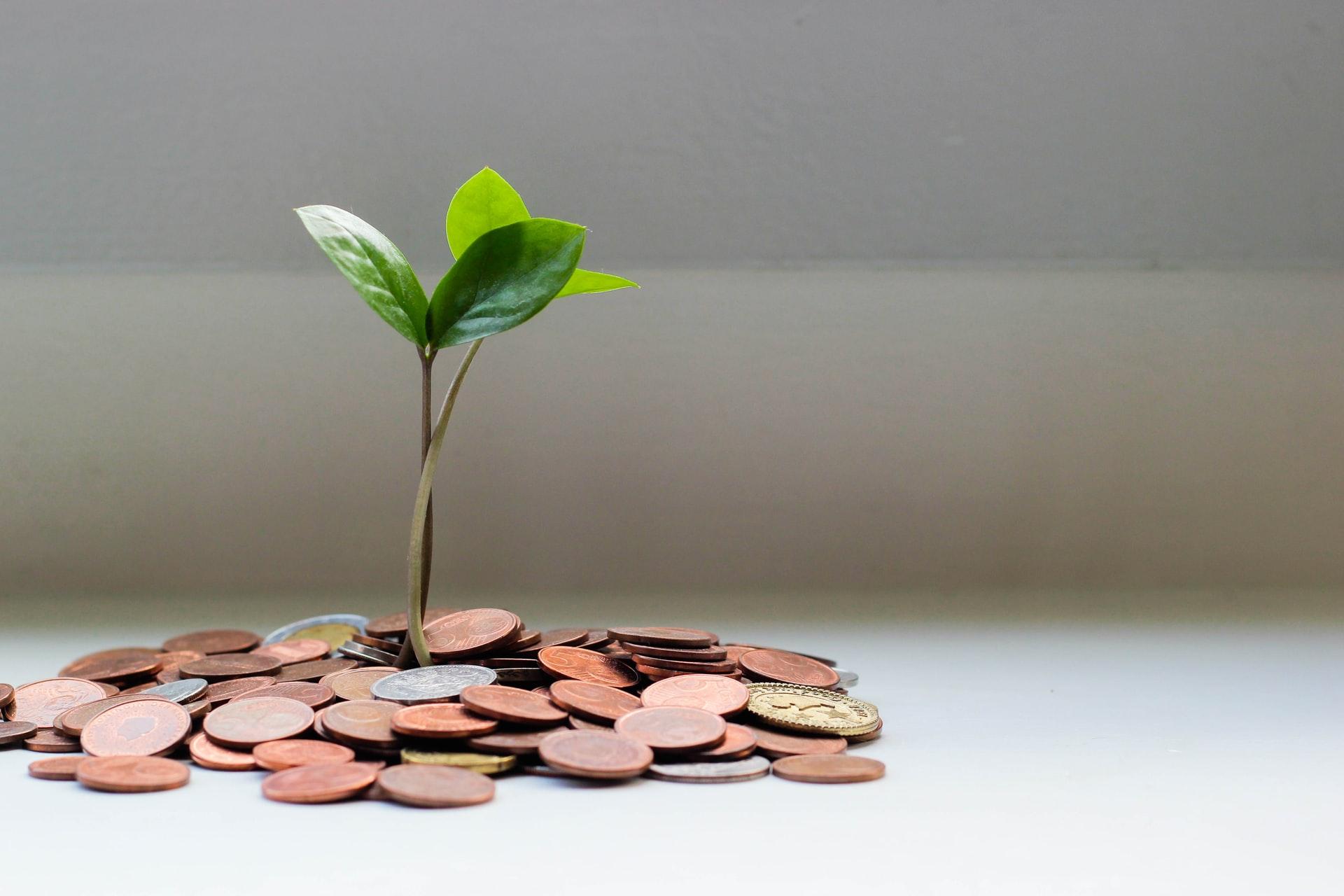 Financial Investors Group
