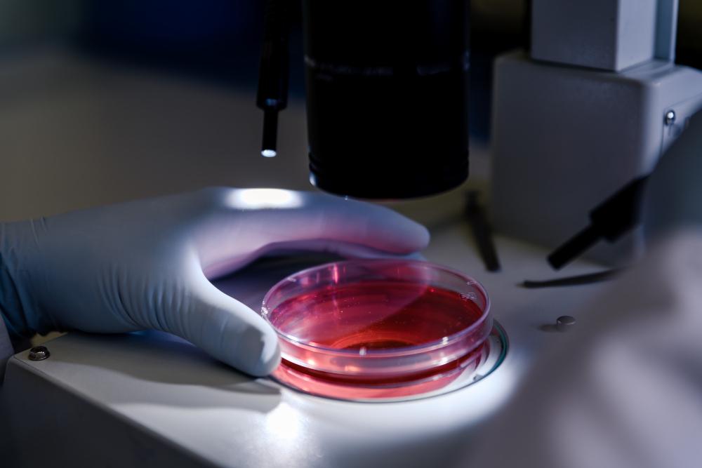 Healthcare and Lifesciences