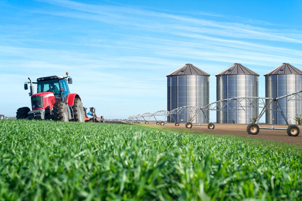 Food and Agriculture