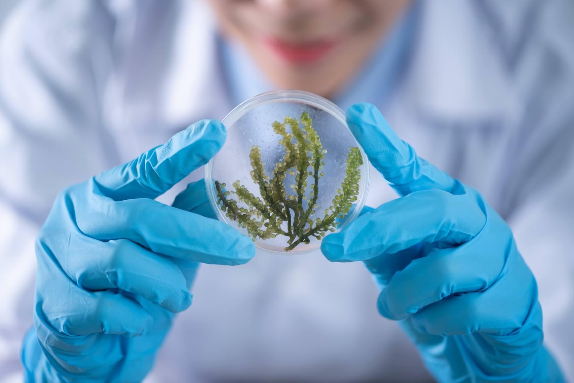 Healthcare and Lifesciences